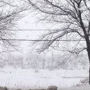 경주민박 이미지