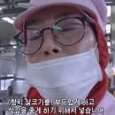하루참치 이미지