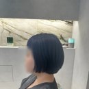 까리노 이미지