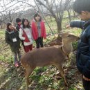 해보농장 이미지