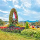 운암초등학교 앞 이미지