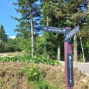 효석문학100리길 제2구간 이미지