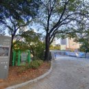 수내1길 이미지