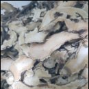 현기농장 이미지