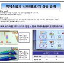 온독 이미지