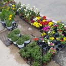 탑리목장 이미지