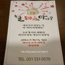 누굴돼지로아나 이미지