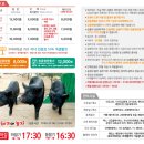 먼나머루 이미지