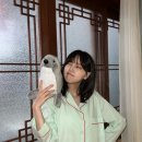 지은 Daum카페