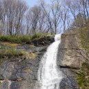 부귀면행정복지센터 Daum카페