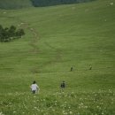 푸른전자 이미지