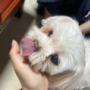 신나는 도자기놀이(6월) | 6월신나는건어쩔수없어~