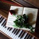 칸토피아노학원 이미지