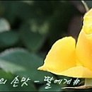 김구워구워 이미지