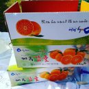 정인농장 이미지