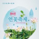 부여군청 광장 이미지