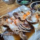 선지정food 이미지