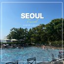 그랜드식당 | 그랜드하얏트 서울 라운지 식당 조식 뷔페 수영장 후기
