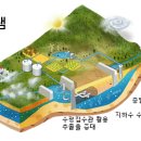 맑은물샘