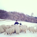 근원목장 이미지