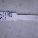 원종동물병원 이미지