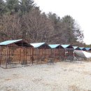 금대리펜션 이미지