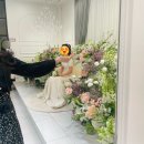 미나축사 이미지