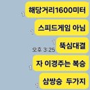 씨유 보령구시점 | 10월26일 레이스후기