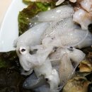 일신식당 이미지