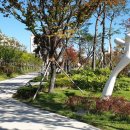 포항철길숲 이미지