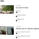 일상다실 이미지