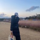 신세계모피세탁 | 전문 크렌즈 갤러리 무료 배송 프로모션 크렌즈갤러리 프라다 명품패딩 세탁 후 새패딩으로 변신 솔직후기
