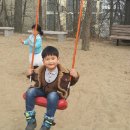 부안초병설유치원 이미지