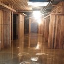 365빈티지 이미지