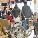 비둘기한국@ 이미지