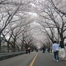 황산공원(황산A) 이미지
