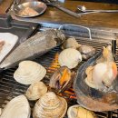 조개몽땅 이미지