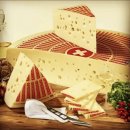 [권순활 페북 : 민주당이《내란수준 작당을 하는 이유》②] 마은혁에 대한 차명진 전의원 판단 맞다… 도 그가 여전히 골수극좌라고 본다 이미지