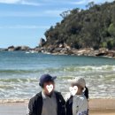(주)울릉가이드 | 시드니 신혼여행 DAY5 / 시드니 일일투어 /울릉공투어 솔직후기 / 호주 로얄 내셔널 국립공원, 와타몰라...