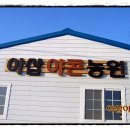 아삽야콘농원 이미지