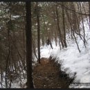 숲 걷기 명상 이미지