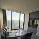 (주)티비소프트 | 마이리얼트립 12월 할인 쿠폰 코드 + 잠실 소피텔 수영장 서울 호캉스 조식 라운지