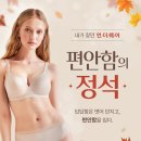 41190-01-07-092 | 선선한 바람 따라 찾아온 가을 혜택! 그리티 10월 3주 차 언더웨어, 애슬레저 프로모션(#위뜨 #원더브라...