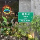 기흥구청 사거리 구청쪽 이미지