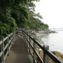 출렁다리 민박 이미지