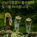 고운글 이미지