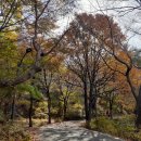 망우리공원 이미지