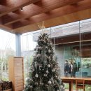 윌로우하우스 | 제주 이니스프리 제주하우스 | 제주 한정 핸드크림·사셰 기념품 솔직 후기