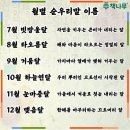 하늘연달 네이버블로그