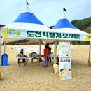 2025 회룡포 봄꽃축제 이미지